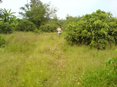 IH Run6 20061028 007
