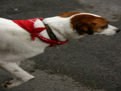 RedDress2007 006
